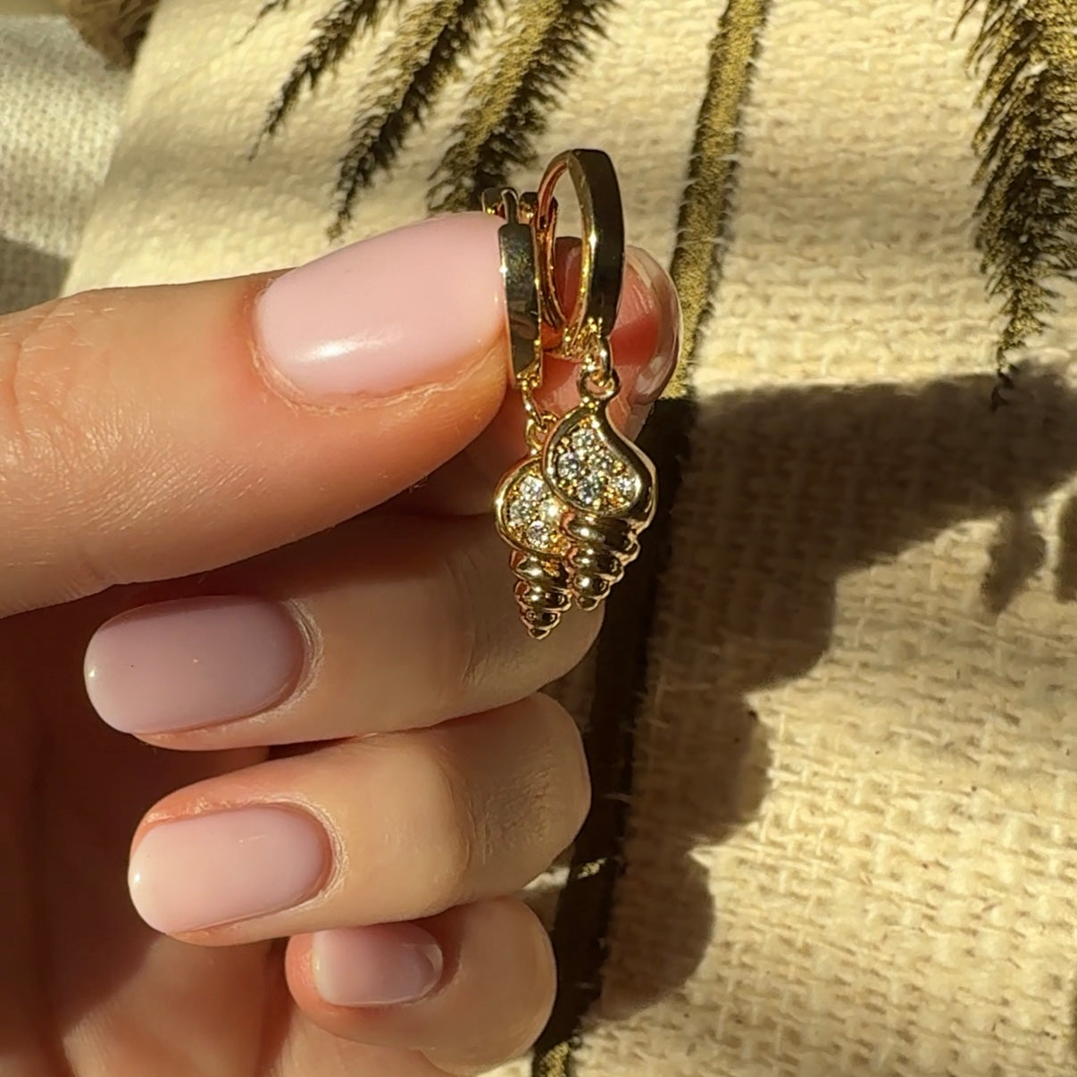 CONCH SHELL